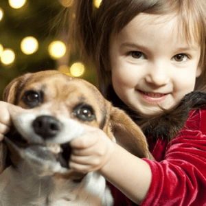 Избор на кученце за вашето дете – на какво да обърнете внимание
