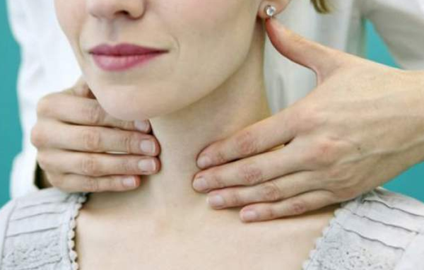 Щитовидната жлеза е разположена в предната част на шията и