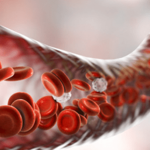 Как да прочистим кръвоносните съдове
