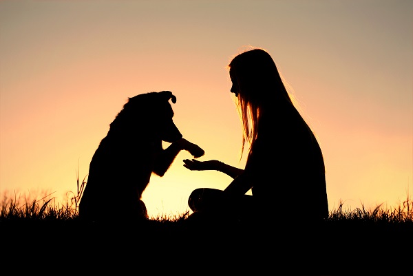 Най добрият приятел на човека – кучето ни предлага не само