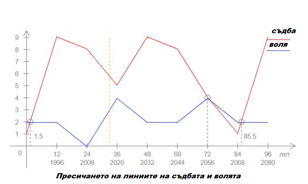 Карта на съдбата и волята