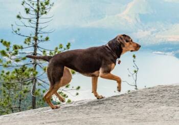  13 кино лентата за пътешестване: селекция, която да ви въодушеви за нови завършения 