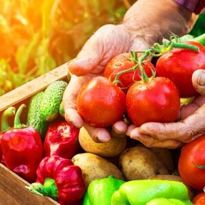 От фермата до чинията или как да разпознаем истинските биопродукти?