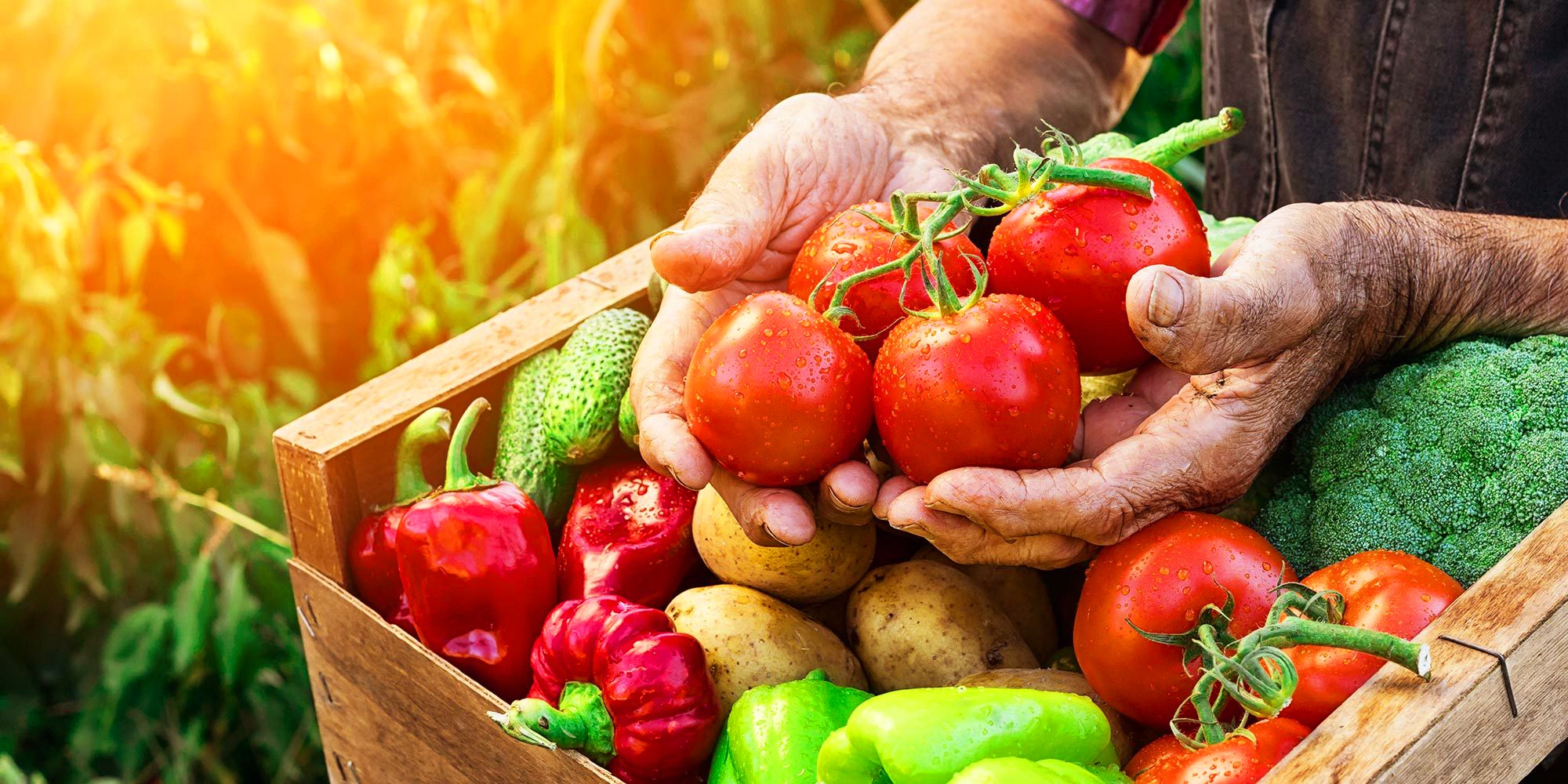 От фермата до чинията или как да разпознаем истинските биопродукти?