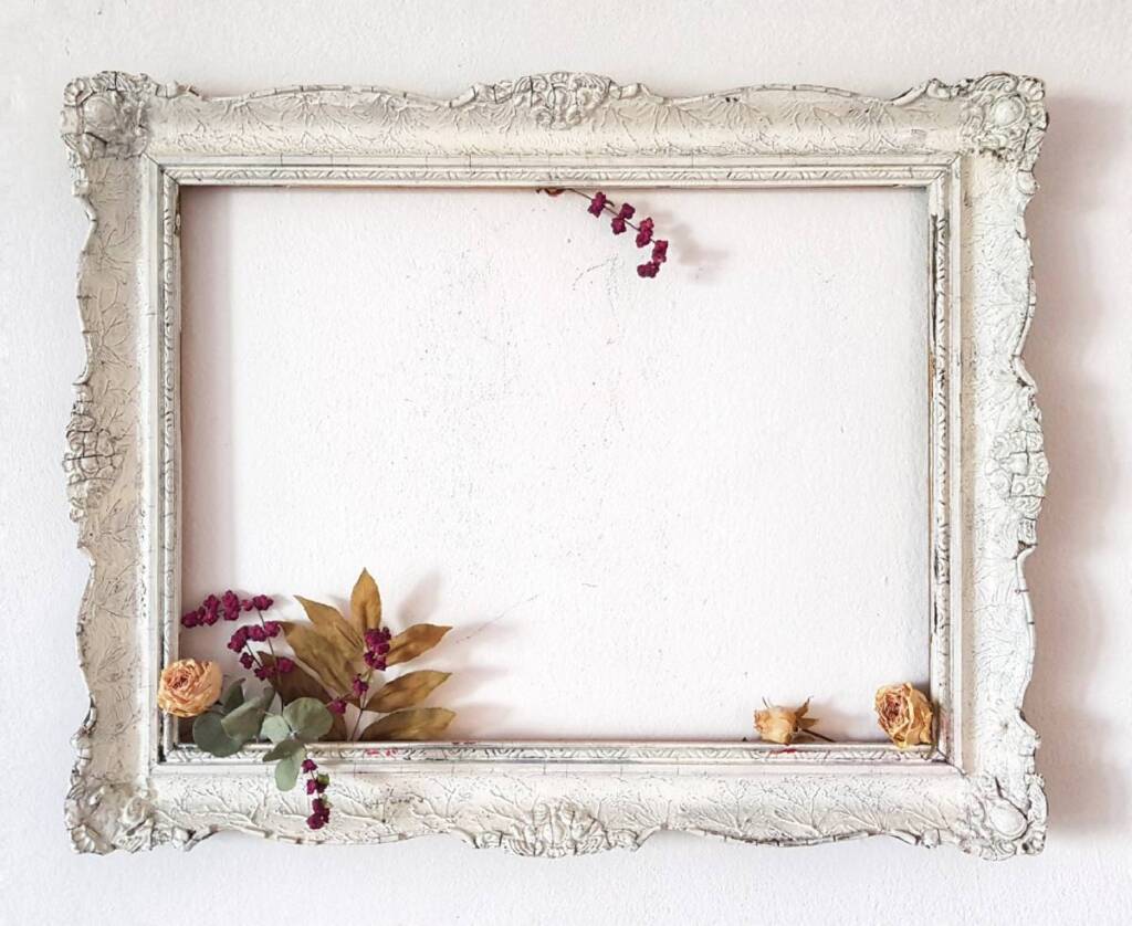  Шаби изискан жанр 