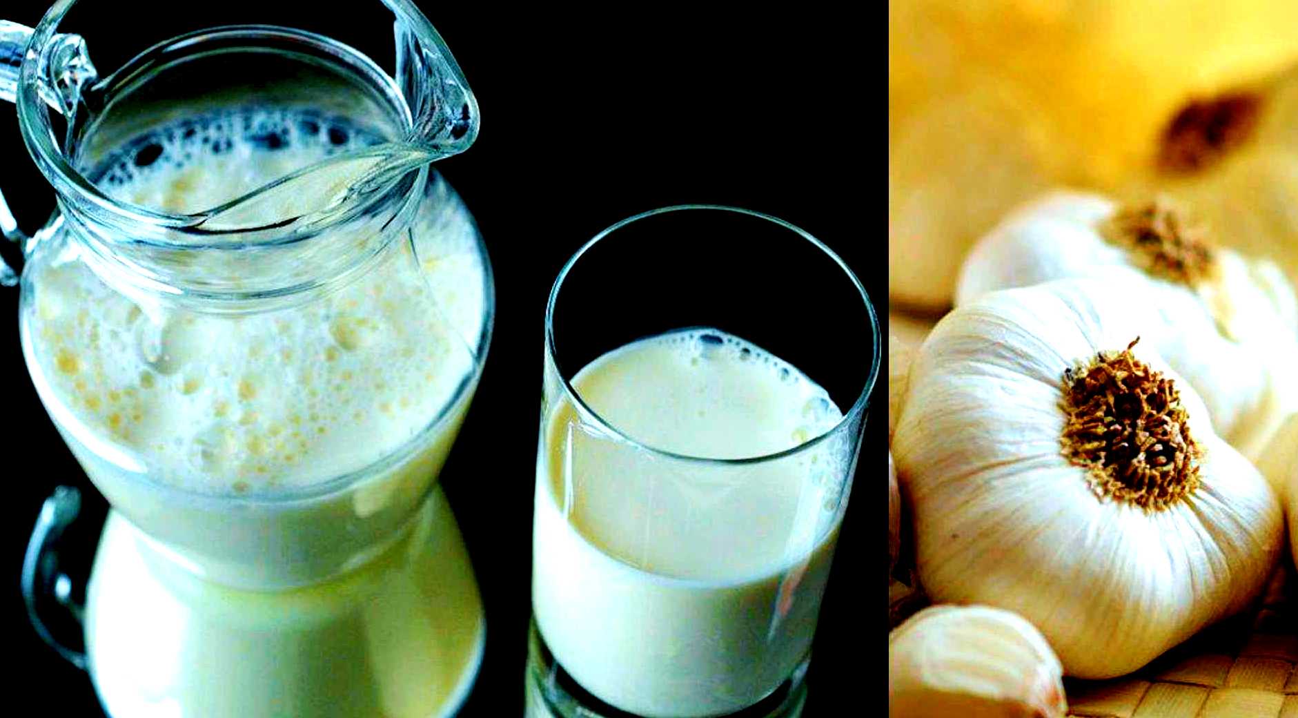 Можно ли пить молоко в пост. Чеснок в молоке. Отвар чеснока в молоке. Молоко с чесноком от простуды. Молоко с чесноком – эликсир молодости.