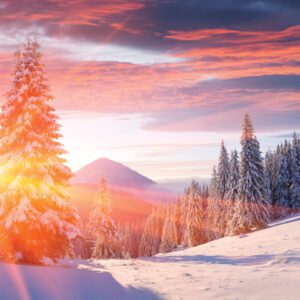 Ритуали за благоденствие и астрологична прогноза за деня на зимното слънцестоене