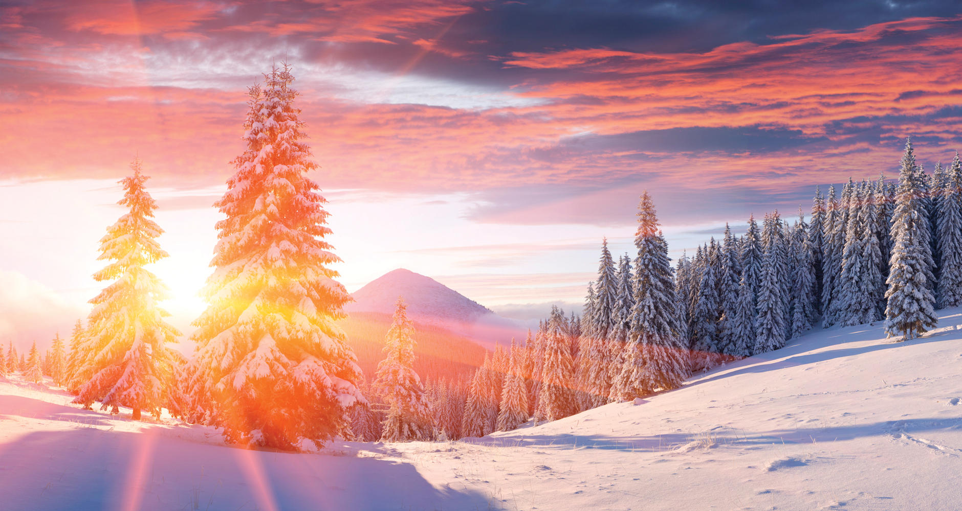  
Зимното слънцестоене е важен астрологичен феномен, когато Слънцето се отдалечава