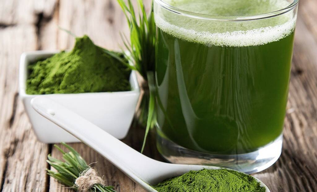  Спирулина и Хлорела - два скъпи дара от природата (Част 2) 