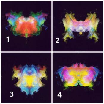  Коя е главната линия на характера ви? Разберете с теста на Роршах 