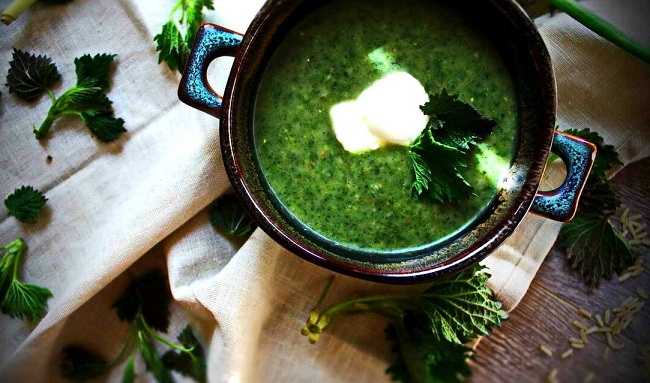  Изключителните изгоди от копривата (Част 3): Козметика и Кулинария 