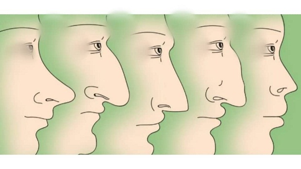 Именно, съгласно формата на мъжкият нос можете да направите цялостен
