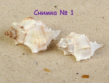  образен тест 