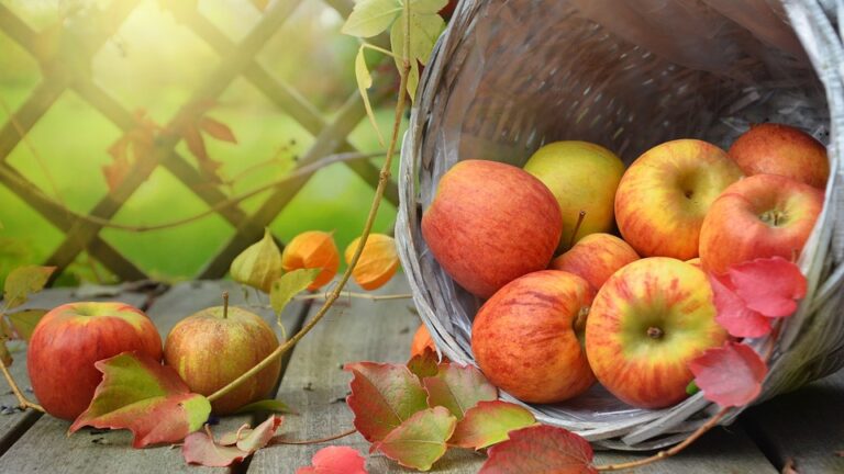 Ябълката – плодът на есента. Какво да приготвим от ябълки