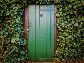 Фън Шуй и входната врата: какъв цвят да изберем