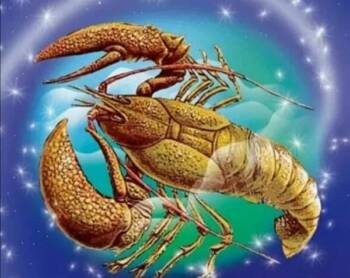  21 секрети на Раците 