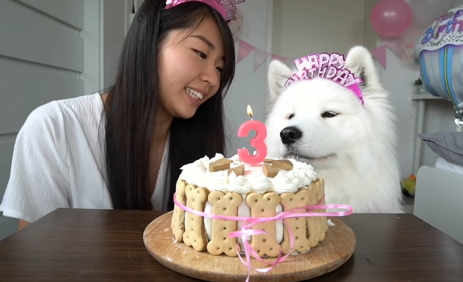8 забавни начина да отпразнувате рождения ден на кучето си