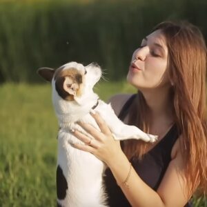 Полезни съвети, когато си взимате куче за първи път