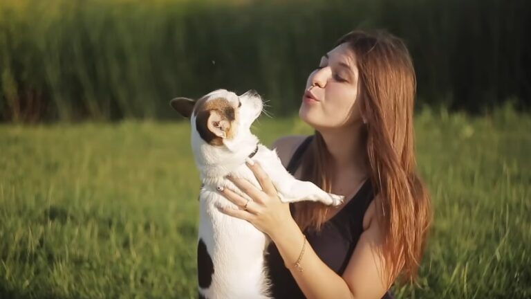 5 полезни съвета, когато си взимате куче за първи път
