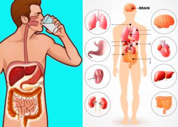 8 убедителни причини да пиете топла вода на празен стомах