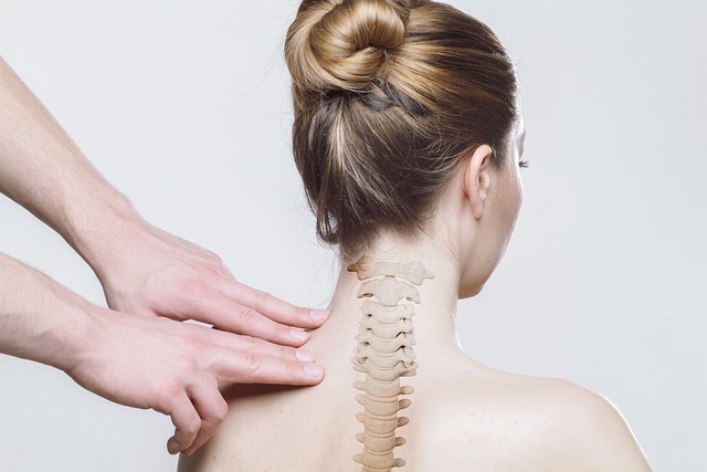 Изменена структура на гръбначния стълб ли е невидимата причина на заболяванията?