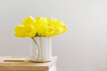  Как елементарно да активираме силата Чи 