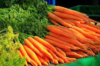 Кога да засадите моркови за добра реколта