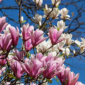  Как да бъдеш в естетика със себе си 