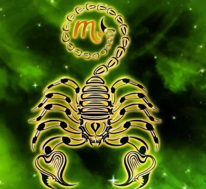 21 тайни на Скорпионите