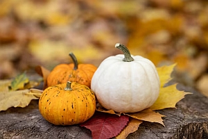 Силен имунитет: топ 8 есенни храни за здраве