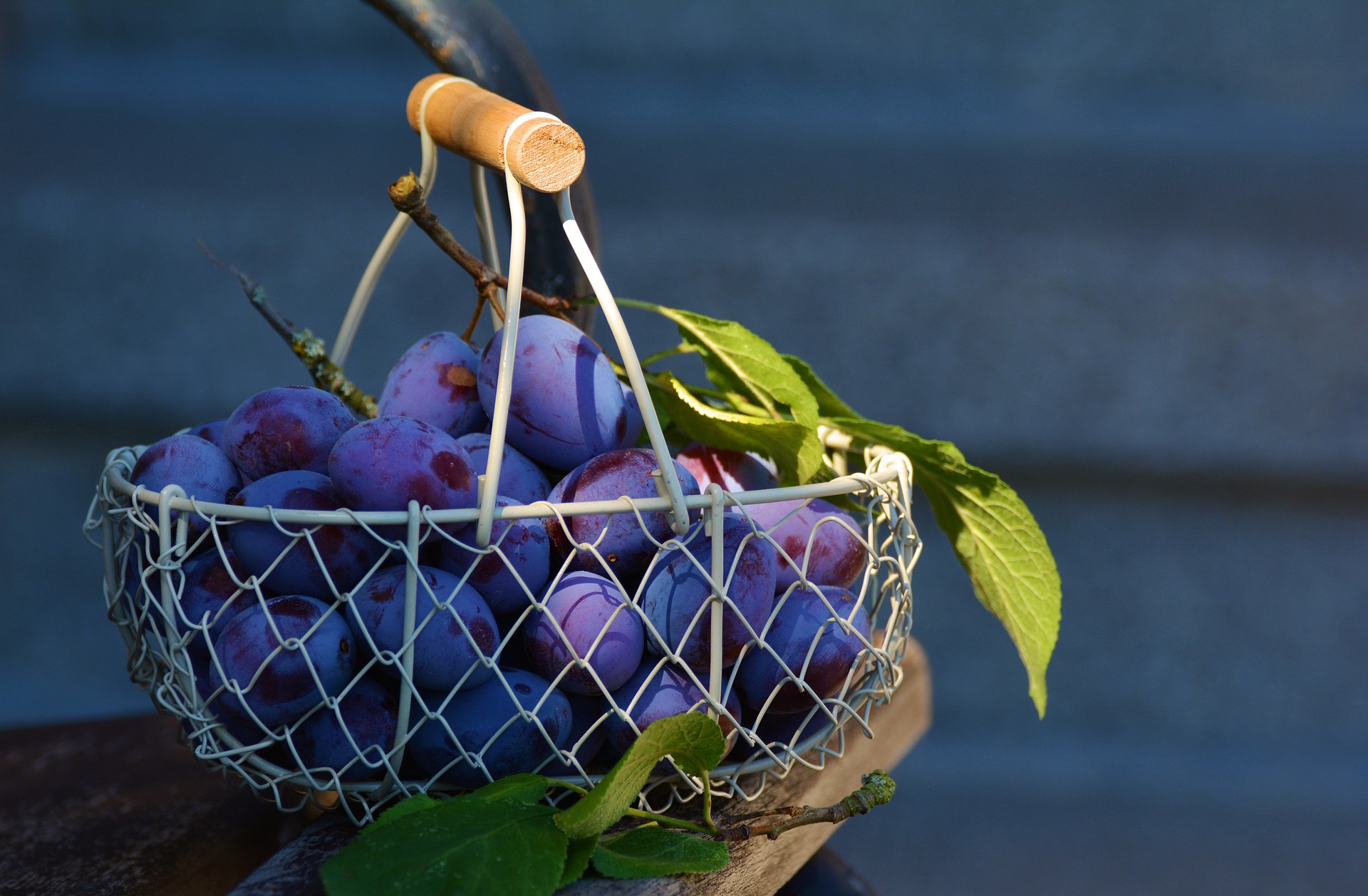 Сини и лилави плодове и зеленчуци за здравето на мозъка