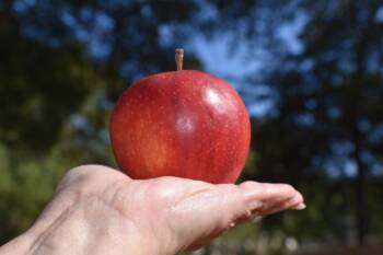  За да стане храната лекарство 