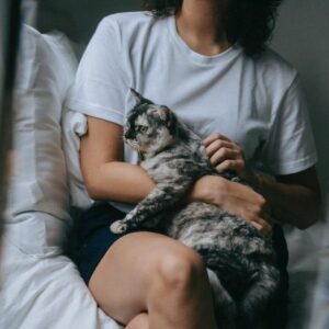 4 съвета как да накарате котката да сяда в скута ви