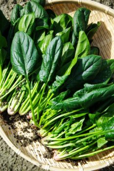 Топ 10 зеленолистни зеленчуци за засаждане в градината