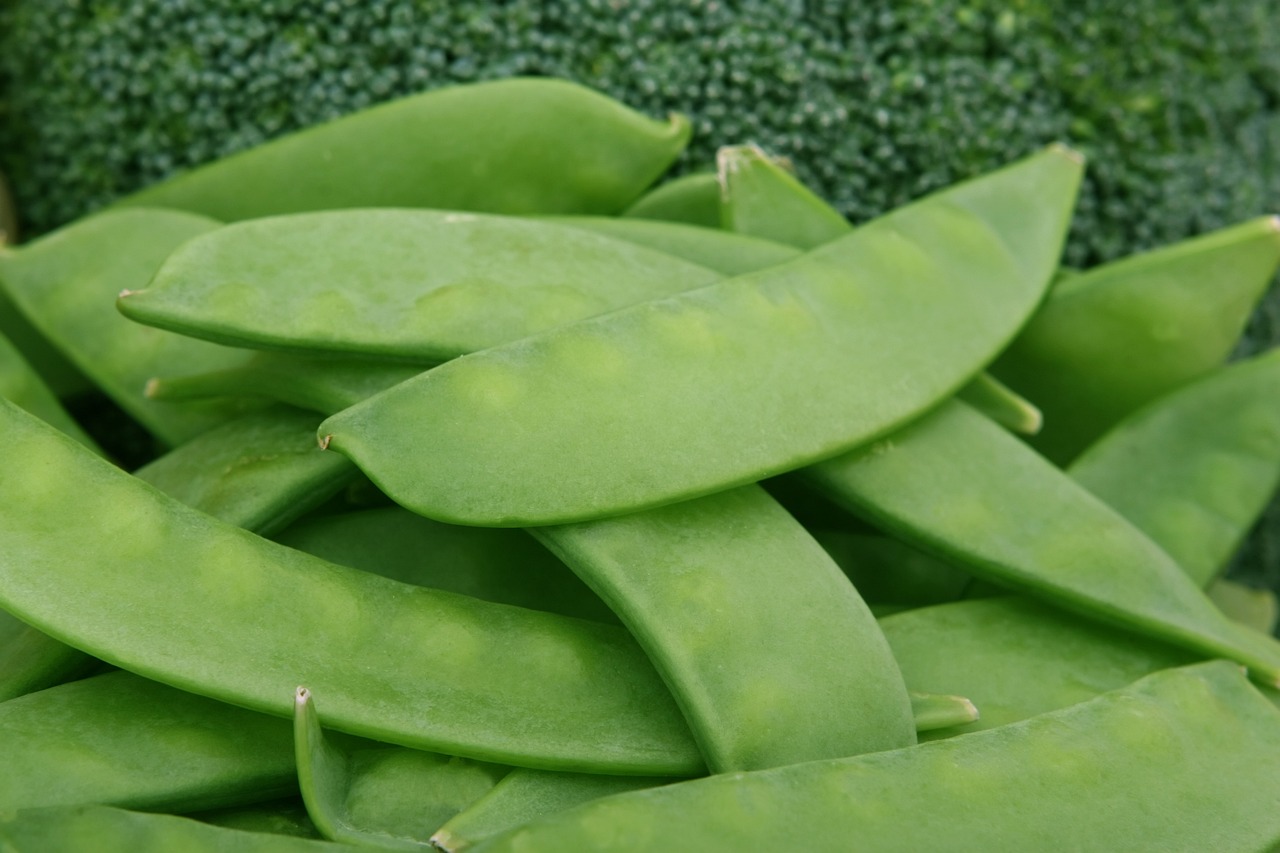 Отглеждане на зеленчукови култури: зелен фасул