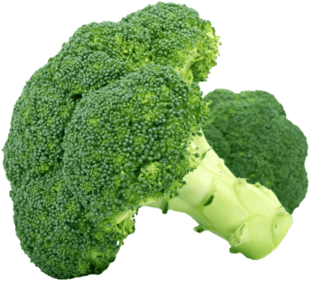 Отглеждане на зеленчукови култури: Броколи