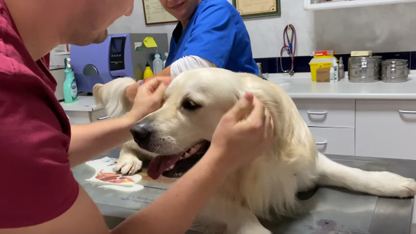  да измиете зъбите 