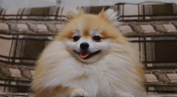  да измиете зъбите 