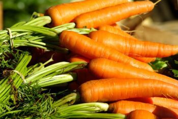 Отглеждане на зеленчукови култури: Моркови