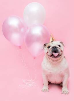  кастрирате 