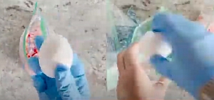  Боядисване на великденски яйца с ориз 