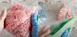  Боядисване на великденски яйца с ориз 