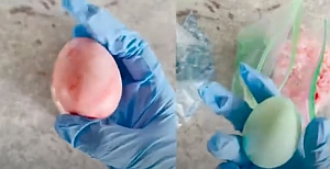  Боядисване на великденски яйца с ориз 