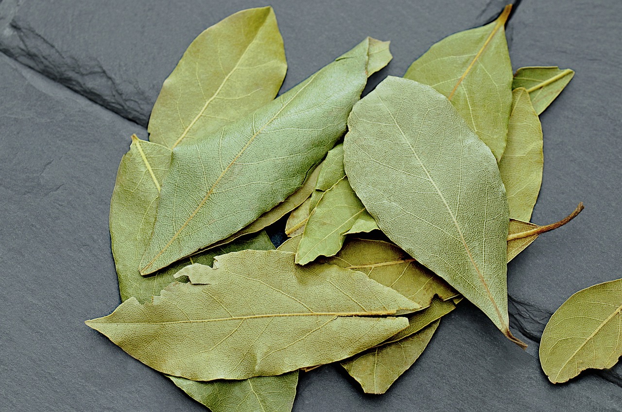 Дафиновото дърво е известно със своите ароматни листа използвани в