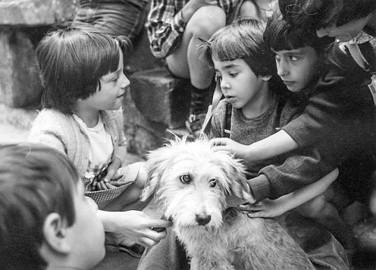 Един от най-добрите български филми Куче в чекмедже“ е любим