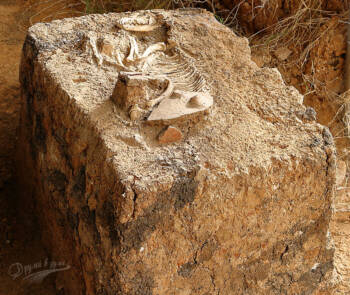  мистериозните места в България 