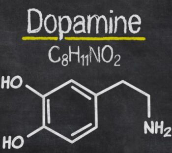 Изгаряне и възстановяване на резервите на допамин: ключът към продуктивност
