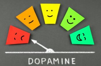Изгаряне и възстановяване на резервите на допамин: ключът към продуктивност