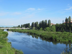 Кои са 5-те най-дълги реки в България?