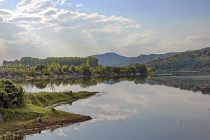 Кои са 5-те най-дълги реки в България?